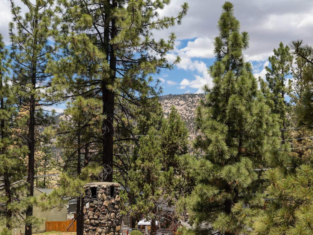 105 Greenspot Blvd 105 Greenspot Blvd