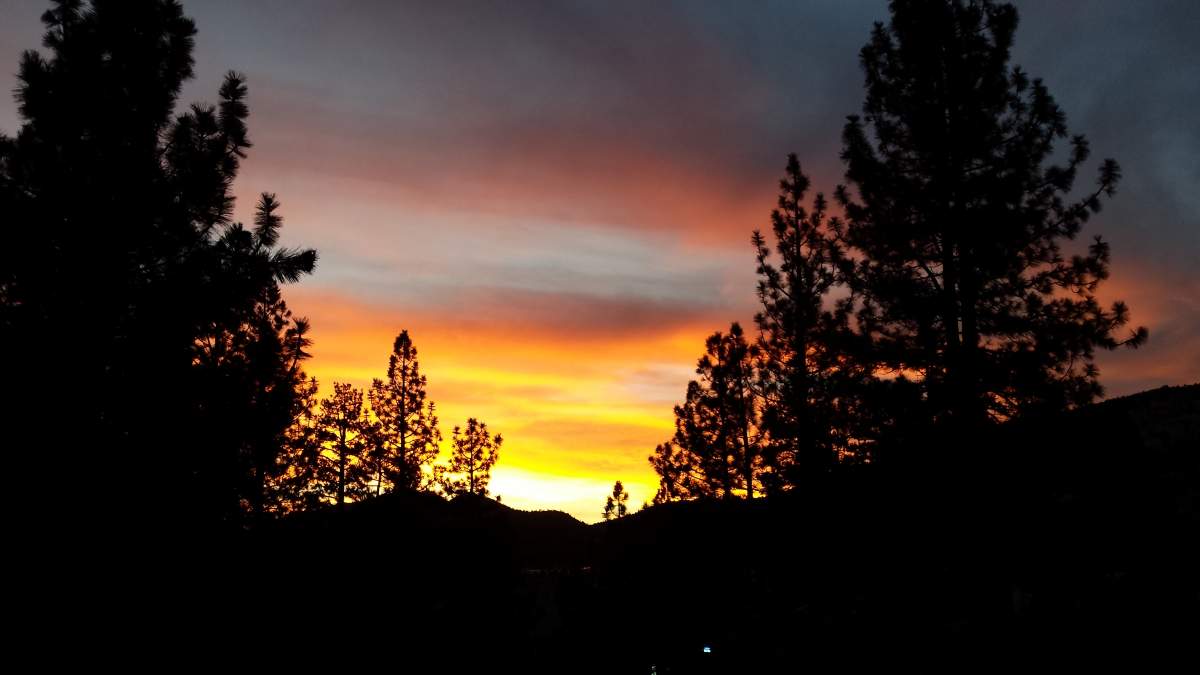 105 Greenspot Blvd 105 Greenspot Blvd