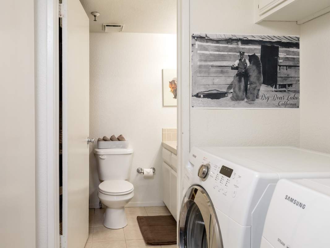 41764 Brownie #5 41764 Brownie #5