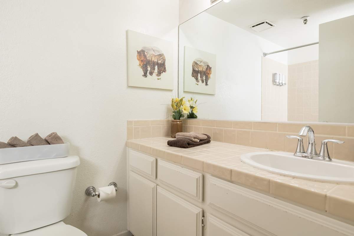 41764 Brownie #5 41764 Brownie #5