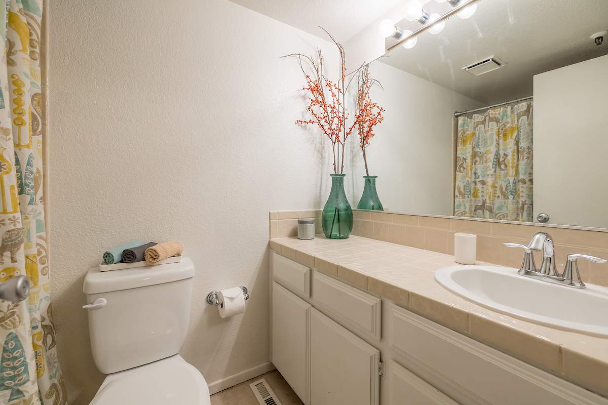 41764 Brownie #5 41764 Brownie #5