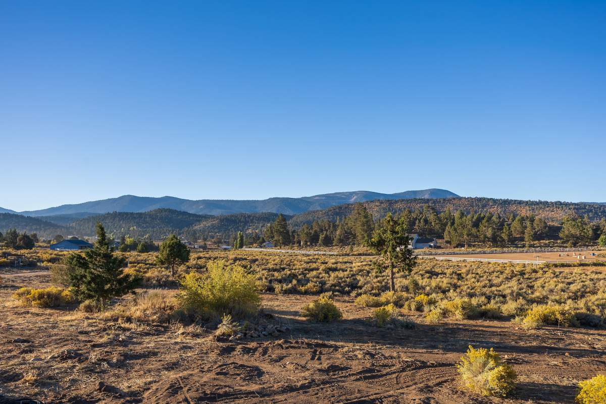 40020 Water Hole Ln 40020 Water Hole Ln