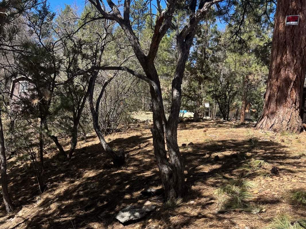 732 Victoria Ln 732 Victoria Ln