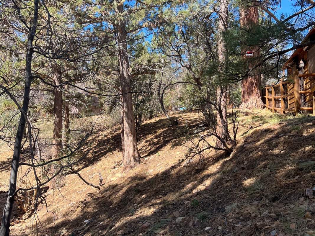 732 Victoria Ln 732 Victoria Ln