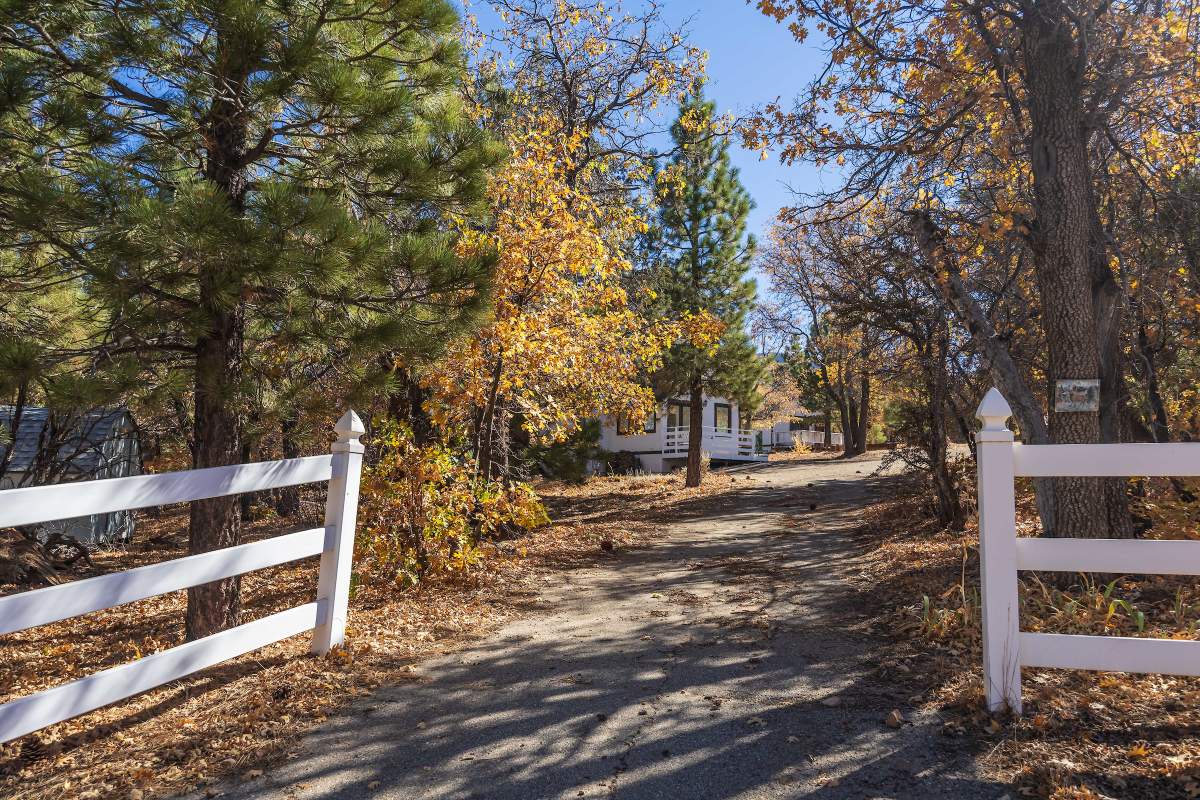 815 Needle Ln 815 Needle Ln