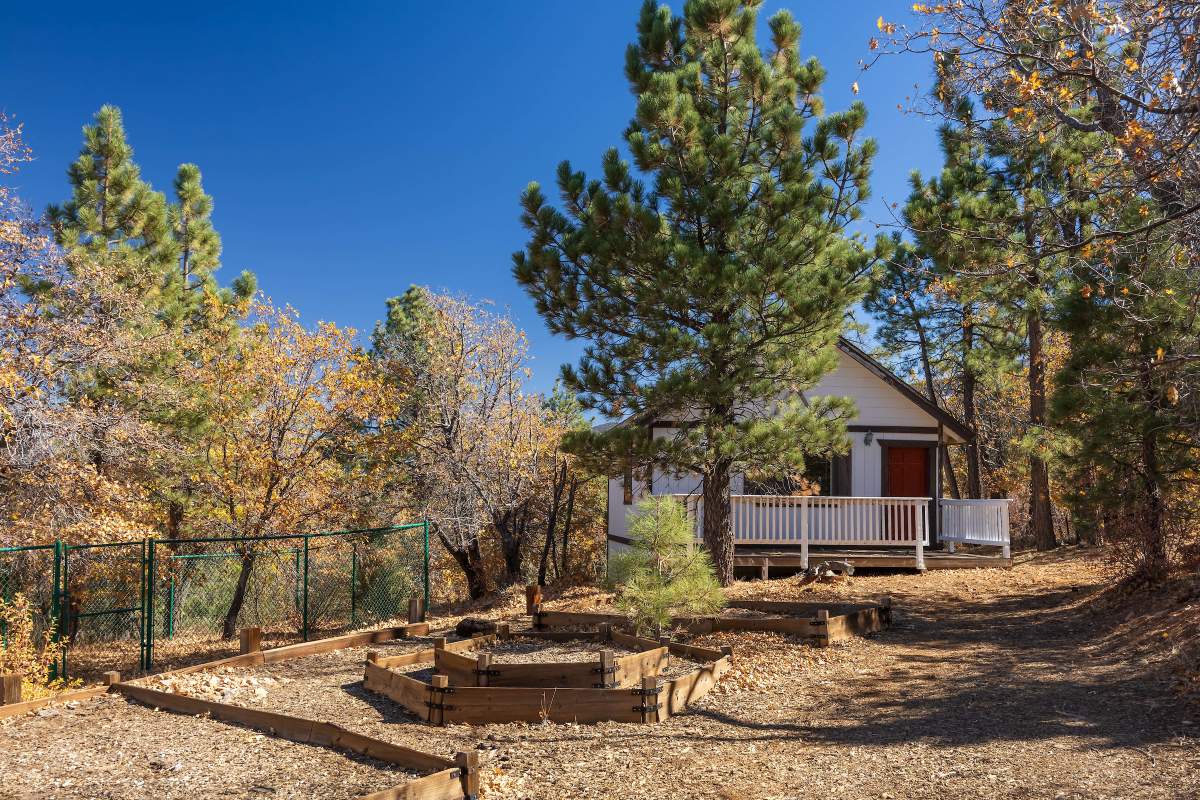 815 Needle Ln 815 Needle Ln