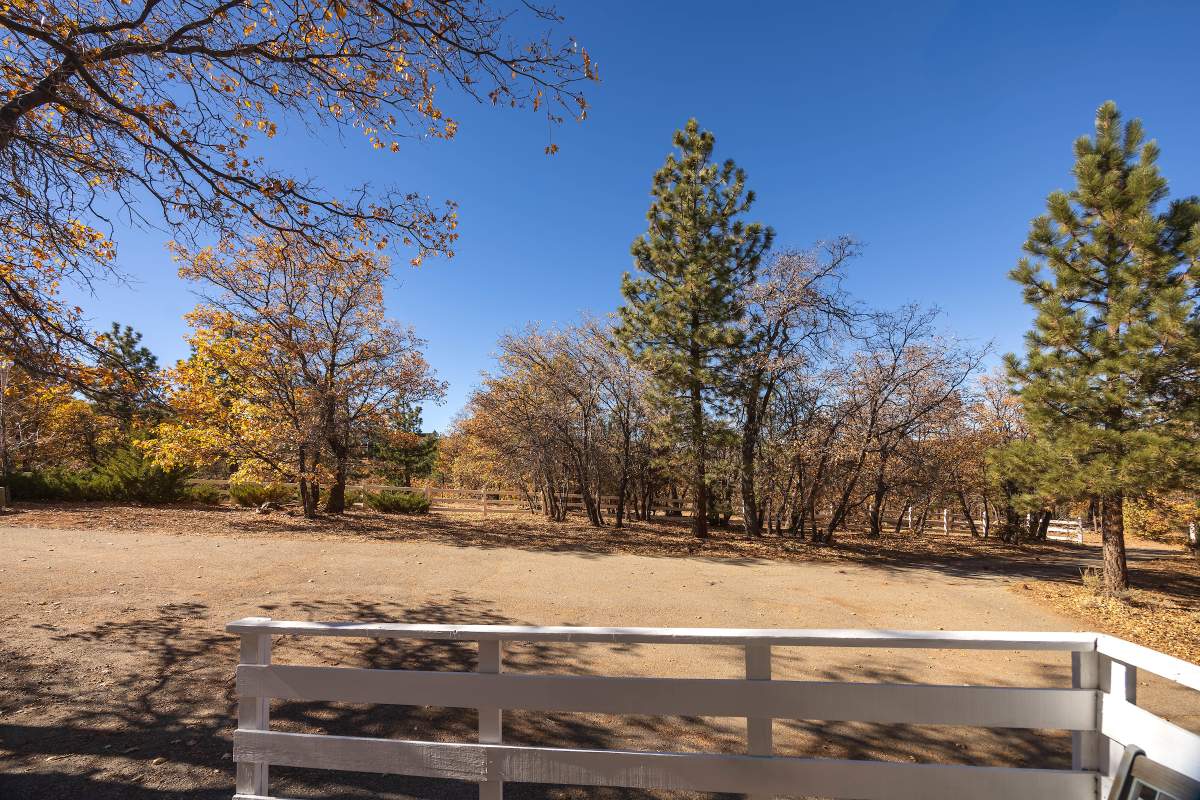 815 Needle Ln 815 Needle Ln